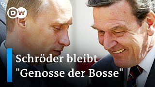 Warum bleibt ExKanzler Schröder Putin so treu  DW Nachrichten [upl. by Reinhart]