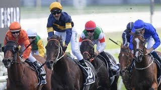 2019 ATC The Doncaster Mile [upl. by Anuqahs374]