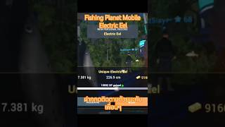 Fishing Planet  ล่าปลาไหลไฟฟ้า ELECTRIC EEL AMAZONIAN MAZE LV68 [upl. by Ahsieyk]