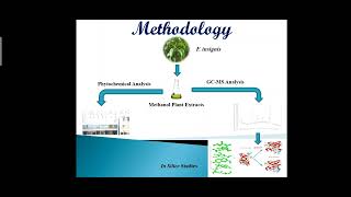 Unveiling the Phytochemical Profile and Insilico Studies on Bioactive Compounds from Falconeria [upl. by Bicknell]