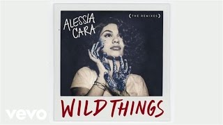 Alessia Cara  Wild Things MK Remix  Audio [upl. by Goldi403]