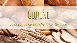 Quali sono i cereali con il glutine [upl. by Anihsit]