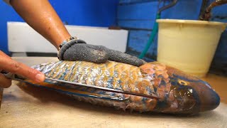 How to fillet luxury fish blue barred parrotfish Sashimi  Okinawa Naha seafood japan [upl. by Buna]