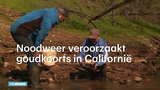 Noodweer veroorzaakt goudkoorts in Californië  RTL NIEUWS [upl. by Frayda]