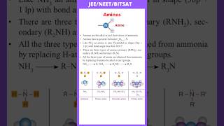 Introduction of Amines primary Secondary and Tertiary amines  JEE  NEET  BITSAT [upl. by Nnaitsirhc937]