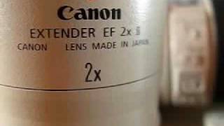 Canon EF 70200mm f28 L IS Lens Review in English [upl. by Alian678]