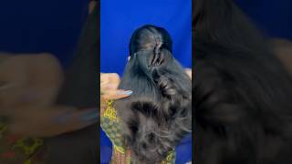 🌼30seconds hairstyle🌼 hairstylisttips hairstyle besthairstylisttips hairtutorial shortsfeed [upl. by Lashond]