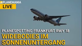 Planespotting LIVE Frankfurt Airport Dicke Flieger im Sonnenuntergang Startbahn West EDDF [upl. by Sanger]