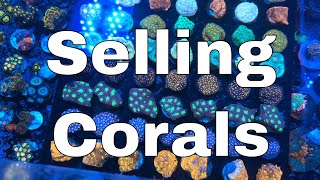 Do You Really Want To Sell Corals [upl. by Zurciram]