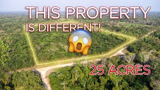 25 Acres of beautifully untouched Forest Near Belmopan and Cotton Tree [upl. by Elvin]