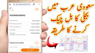 How to check Electricity Bill in Saudi Arabia View and Pay Bill [upl. by Eenaj]