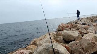 pêche de la daurade étang de Thau à Marseillan [upl. by Jamey]