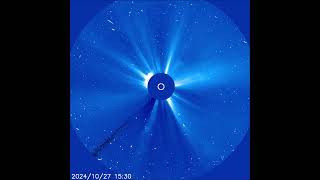 Comet C2024 S1 ATLAS Falls Into the Sun [upl. by Lehplar664]