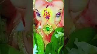 Galli ka ganesh ganeshganeshchaturthi ganesha [upl. by Ronna]