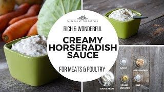 CREAMY HORSERADISH SAUCE  1 Minute Video [upl. by Sayers]