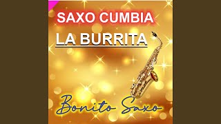 Saxo CumbiaLa burrita [upl. by Margret]