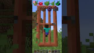 Fitting Throught different Gaps shorts minecraft meme [upl. by Nylaf]