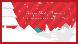 Paignton Zoo Christmas Card 2016 [upl. by Alodie]