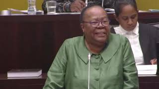 Closing Statement by Minister Pandor on the ongoing IsraelPalestine conflict [upl. by Gunning]