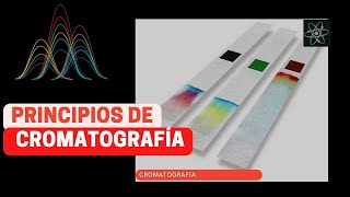 CÓMO funciona la CROMATOGRAFÍA [upl. by Annaes]