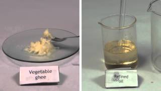 Qualitative Analysis of Oil and Fats  MeitY OLabs [upl. by Esirec]