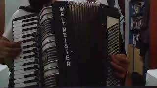 Albanian Balkan music  weltmeister S4  accordion  akordeon [upl. by Siva391]