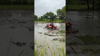 Kubota 4wd tractor working in mud shorts trending tractor [upl. by Nadaha727]