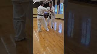 Uechi Ryu Karate  Clinch Sparring at Sacramento Dojo [upl. by Boothman558]