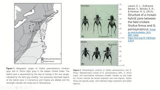 Evolutionary Mechanisms Pt 2 Reproductive Isolation [upl. by Tricia274]