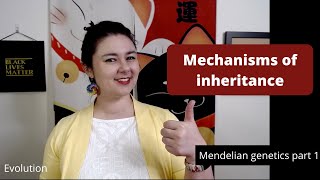 Mechanisms of inheritance [upl. by Adnohryt]