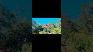 Jacksonville Arboretum amp Botanical Gardens djimini2se drone djing dronephotography [upl. by Tiedeman153]