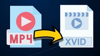 How to Convert MP4 Files to Xvid Effortlessly [upl. by Pierce244]