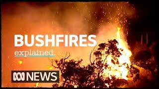 The science of bushfires explained  ABC News [upl. by Heriberto]