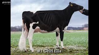 1 GHH Ella [upl. by Windham]