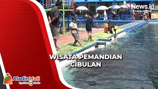 Ratusan Ikan Dewa di Pemandian Cibulan Mati Turis Tetap Ramai [upl. by Eeruhs487]