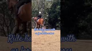 Need better scores in a dressage test for your half pass dressage horse community equestrian [upl. by Gawain]