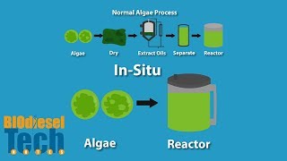 Biodiesel Production Methods [upl. by Nueoht]