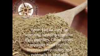 Anise Benefits And Side Effects Medical Herbs in Egypt [upl. by Motteo]