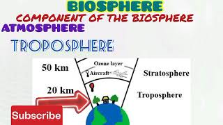 BIOSPHERE [upl. by Prevot996]