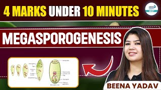 Megasporogenesis Explained in 10 Minutes  4 Marks Guaranteed  NEET 2025  Class 12 Botany [upl. by Nan]