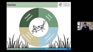 1st Talk 202021 Drivers of insect decline in grasslands mechanisms and solutions by Nadja Simons [upl. by Anaib]