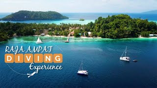 What We Found Around This Island 🤯  Sailing and Diving Raja Ampat Indonesia 🇮🇩 [upl. by Dibru]