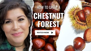 Discover the Benefits of Planting a Chestnut Tree [upl. by Harmonia989]