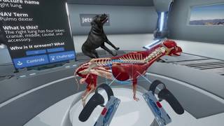 JetsonVR  Launch Trailer 2018  Virtual Reality Canine Anatomy [upl. by Jasen]