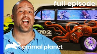 FULL EPISODE Brett Takes a Dive S1 E1  Tanked [upl. by Seow]