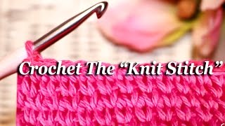 How To CROCHET The quotKNIT STITCHquot [upl. by Eirrak]