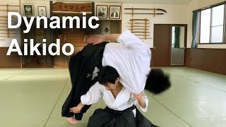 Dynamic and Technical Aikido  Shirakawa Ryuji shihan [upl. by Addis]