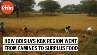 Starvation deaths to surplus food production — How Odisha’s KBK corridor saw a complete turnaround [upl. by Hook]