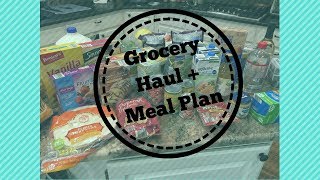 GROCERY HAUL  MEAL PLAN [upl. by Colwin449]