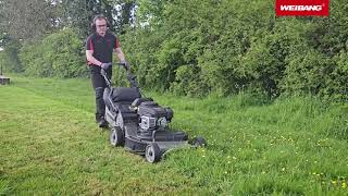 Preview WeibangVirtue 77 TBO Lawn Mower [upl. by Einnaj]